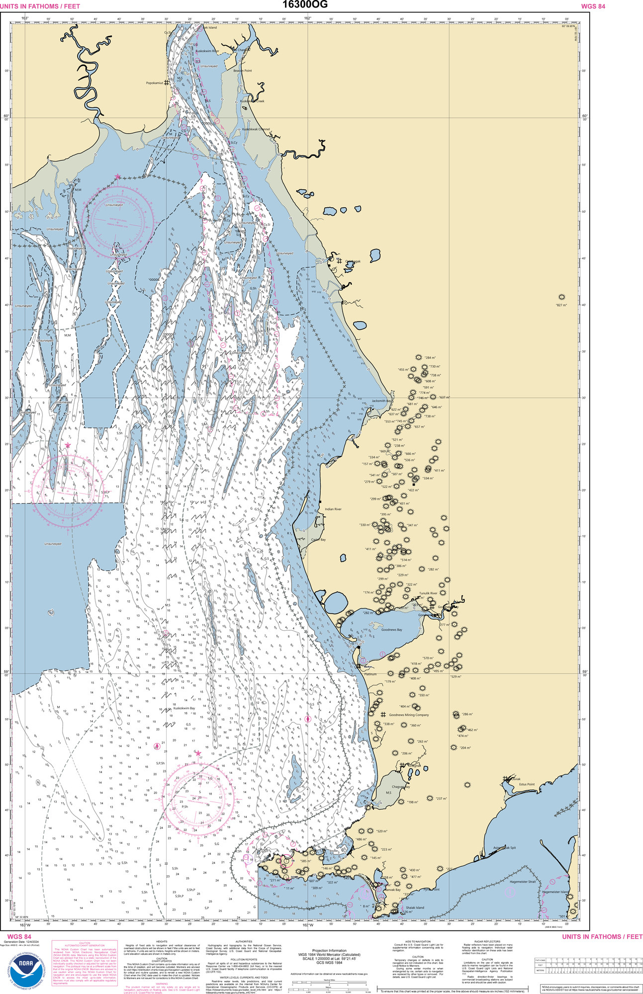 NOAA Chart Number 16300