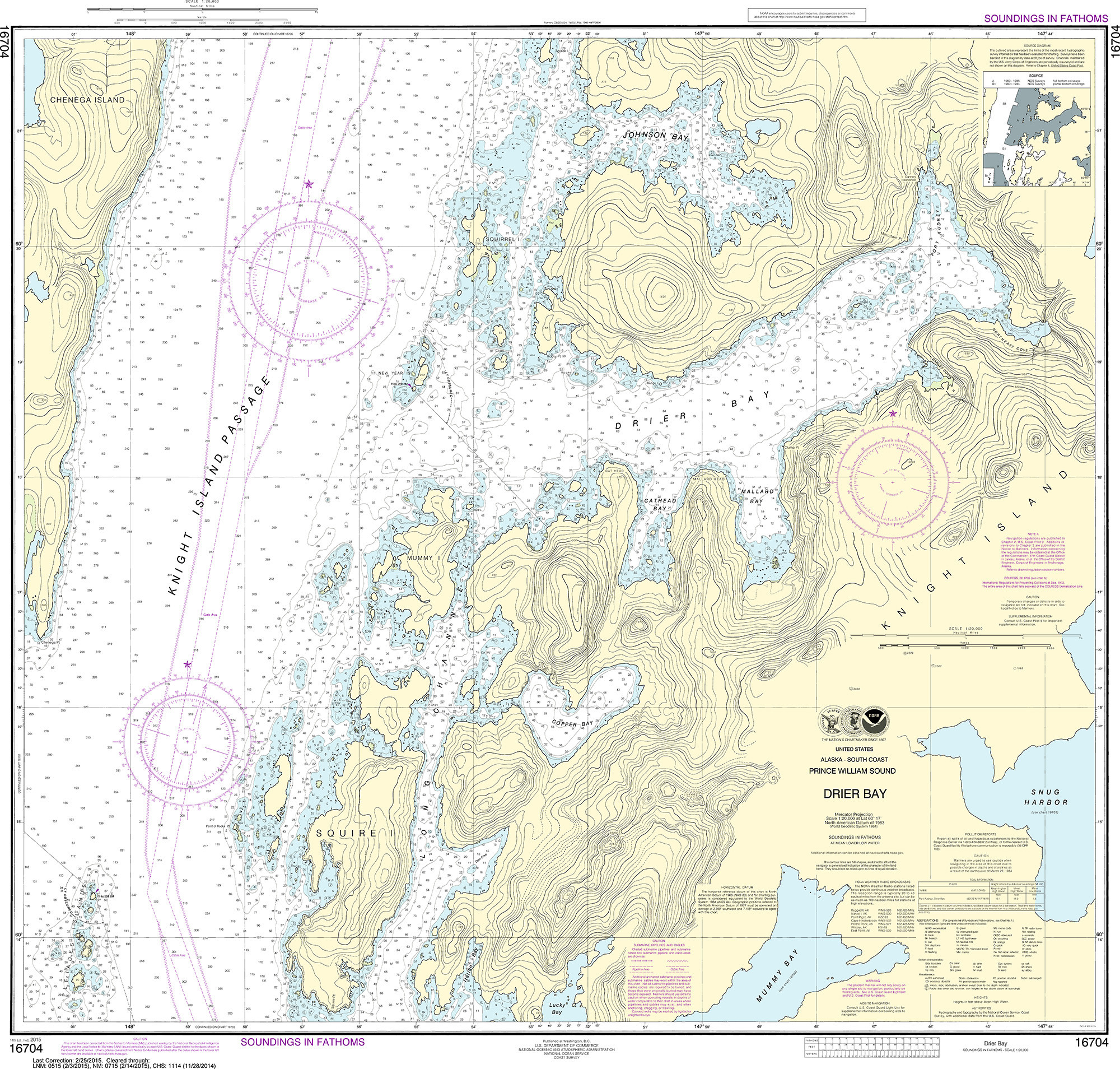 NOAA Nautical Chart - 16704 Drier Bay Prince William Sound