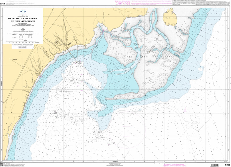 SHOM Nautical Chart - 6325