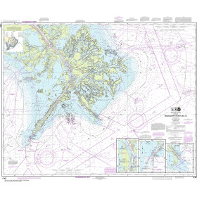 NOAA Nautical Chart - 11361 Mississippi River Delta;Southwest Pass;South Pass;Head of Passes