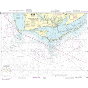 NOAA Nautical Chart - 11401 Apalachicola Bay to Cape San Blas