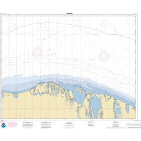 NOAA Nautical Chart - 16066OG Pitt Pt. and vicinity
