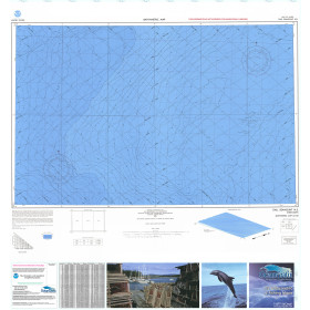 Bathymetric Nautical Chart - LM-118 Dall Seamount N.E.
