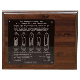 Weems & Plath Stormglass Display 8x10 Wood Display with engraved plate